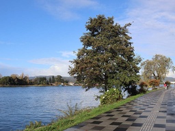 2023-04-13-19-12-44-JvjVinzT.jpg